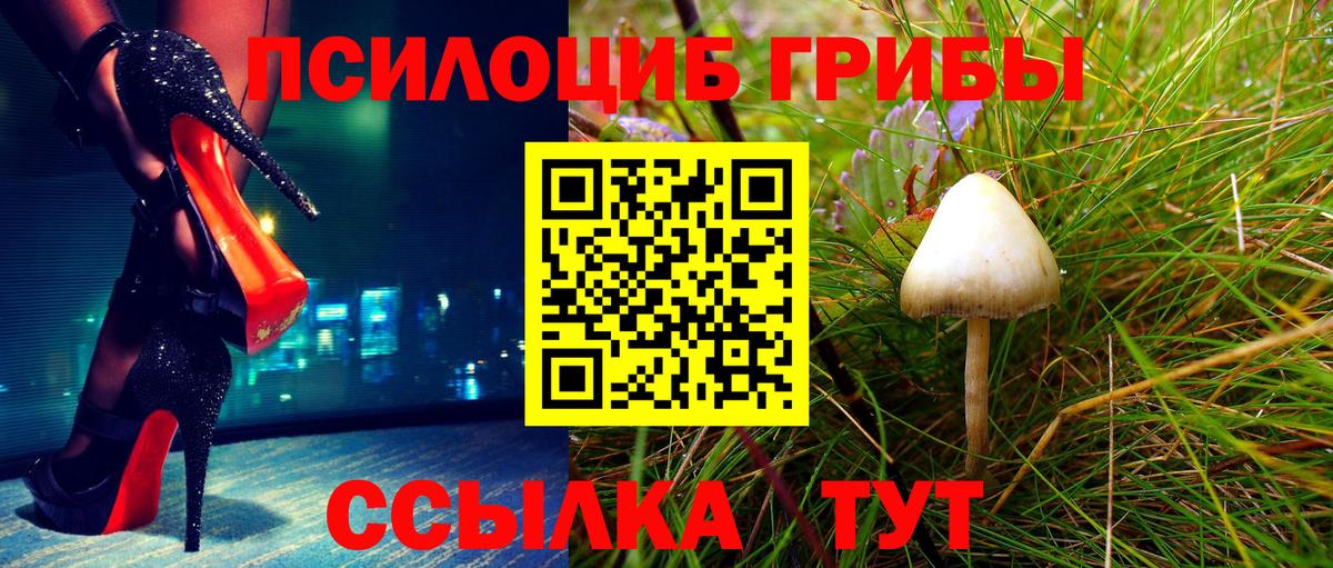 Псилоцибиновые грибы GOLDEN TEACHER Кудрово