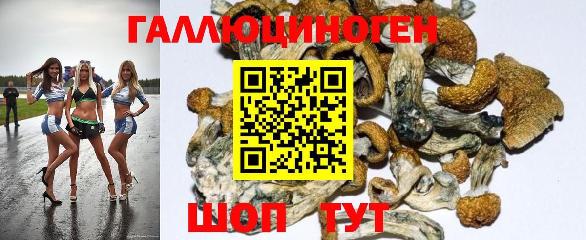 Псилоцибиновые грибы Psilocybe  Вход с VPN  дарнет шоп  Кудрово 