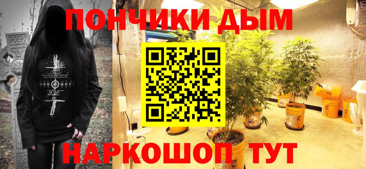 Кудрово  Каннабис планчик  МАРИХУАНА план  Каннабис индика  Вход с VPN  Конопля MAZAR 